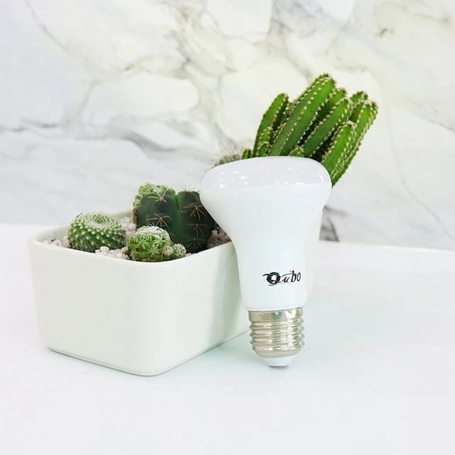 Hloov Tsis txo Dimmable LED R80 Teeb
